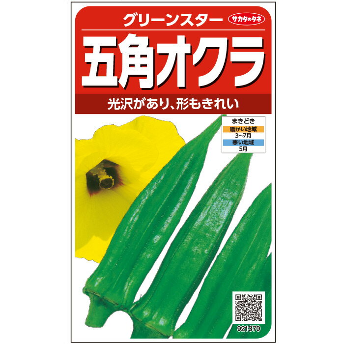 【サカタのタネ公式】 オクラグリーンスター 野菜 種 約90粒 小袋 春まき 固定種 簡単 初心者向き 育てやすい プランター 鉢 家庭菜園 ベランダ栽培 収穫園芸おくら種子 タネ たね