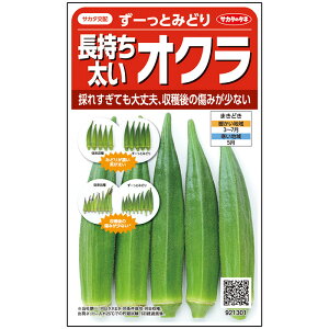 【サカタのタネ公式】 オクラ ずーっとみどり 野菜 種 約40粒 小袋 春まき サカタ交配 簡単 初心者向き 育てやすい プランター 鉢 家庭菜園 ベランダ栽培 収穫園芸おくら種子 タネ たね