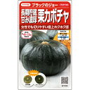 【サカタのタネ公式】 栗カボチャ ブラックのジョー 野菜 種 約6粒 小袋 春まき サカタ交配 美味しい 家庭菜園 栽培 収穫園芸 南瓜 かぼちゃ種子 タネ たね