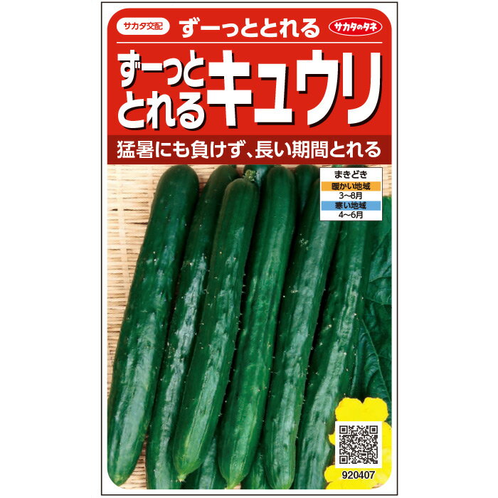 【サカタのタネ公式】 キュウリ ずーっととれるキュウリ 野菜 種 約16粒 小袋 春まき サカタ交配 簡単 初心者向き 育てやすい プランター 鉢美味しい 家庭菜園 ベランダ栽培 収穫園芸 胡瓜 きゅうり種子 タネ たね