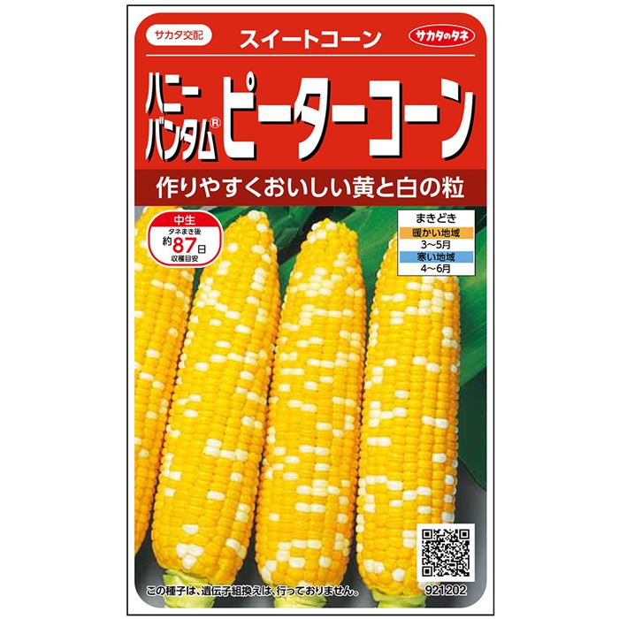  スイートコーン ハニーバンタム(R) ピーターコーン 野菜 種 約200粒 大袋 春まき サカタ交配 営利 栽培 収穫 園芸 玉蜀黍 すいーとこーん トウモロコシ 種子 タネ たね