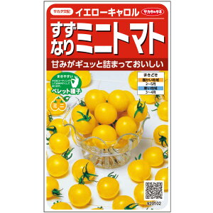 【サカタのタネ公式】 ミニトマト イエローキャロル 野菜 種 ペレットシード約13粒 小袋 春まき サカタ交配 簡単 初心者向き 育てやすい プランター 鉢美味しい 家庭菜園 ベランダ栽培 収穫園芸 トマト とまと種子 タネ たね