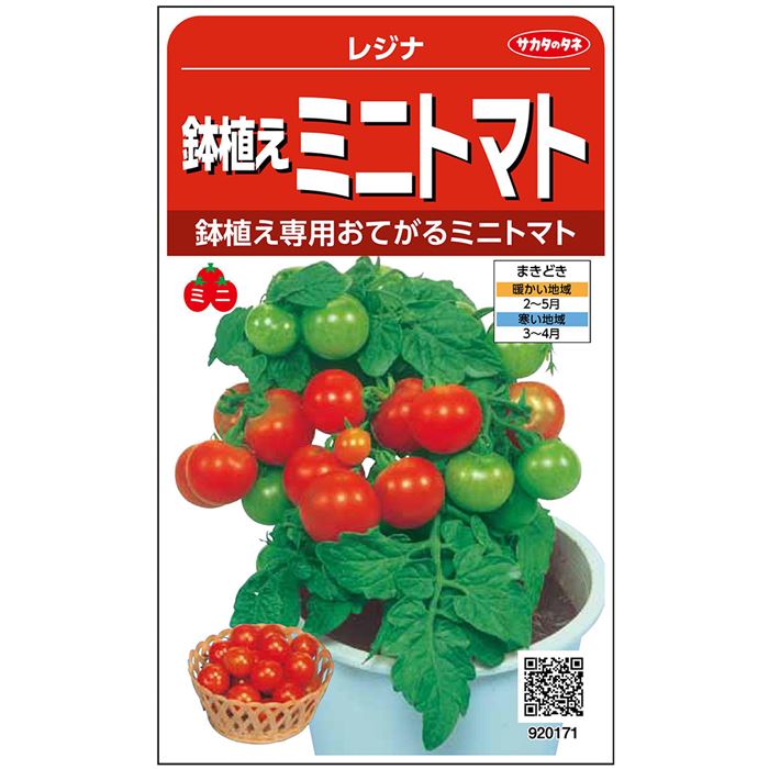 【サカタのタネ公式】 ミニトマト レジナ 野菜 種 約75粒 小袋 春まき 固定種プランター 鉢 家庭菜園 ベランダ栽培 収穫園芸 トマト とまと種子 タネ たね