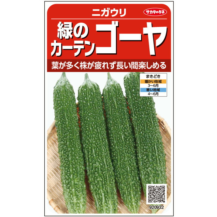 【サカタのタネ公式】 ニガウリ 緑のカーテンゴーヤ 野菜 種 約6粒 小袋 春まき 固定種 簡単 初心者向き 育てやすい プランター 鉢 家庭菜園 ベランダ栽培 収穫園芸 苦瓜 にがうり ツルレイシ 種子 タネ たね