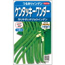  つるありインゲン ケンタッキーワンダー 野菜 種 約50粒 小袋 春まき 秋まき固定種 簡単 初心者向き 育てやすい プランター 鉢美味しい 家庭菜園 ベランダ栽培 収穫園芸いんげん種子 タネ たね