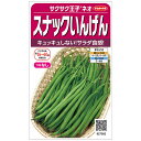 【サカタのタネ公式】 つるなしインゲン サクサク王子(R)ネオ 野菜 種 約55粒 小袋 鉢植え 地植え 家庭菜園 栽培 収穫 園芸 つるなしインゲン つるなしいんげん 種子 タネ たね