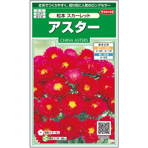 【サカタのタネ公式】 アスター 松本 スカーレット 花 種 約186粒 小袋 春まき 秋まき夏 秋 レッド 鉢植え 地植え 切り花育てやすいガーデニング 園芸種子 タネ たね