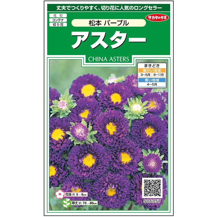 【サカタのタネ公式】 アスター 松本 パープル 花 種 約186粒 小袋 春まき 秋まき夏 秋 パープル 鉢植え 地植え 切り花育てやすいガーデニング 園芸種子 タネ たね