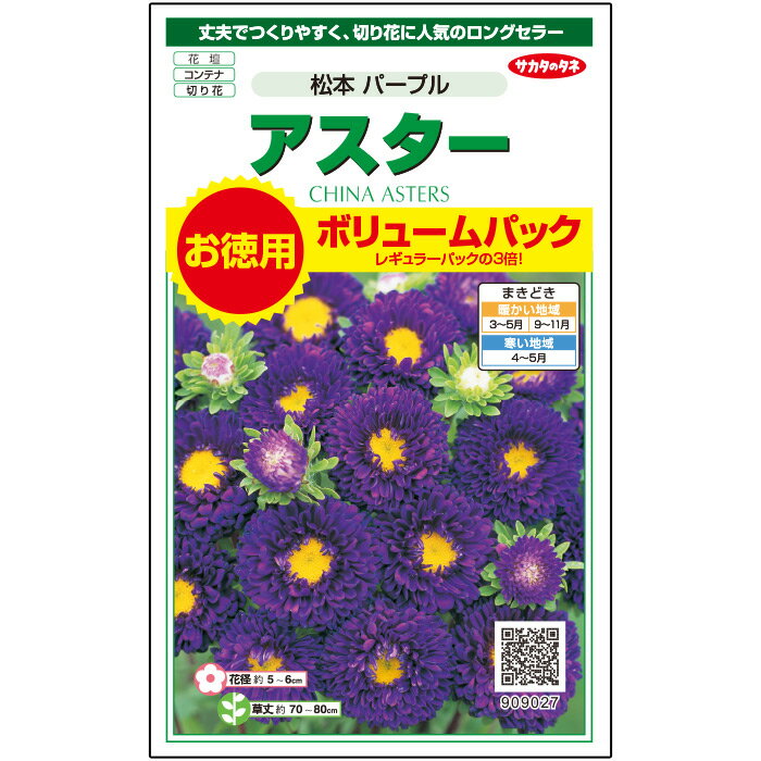 【サカタのタネ公式】 アスター 種 小袋 約550粒 パープル 松本 パープル 花 春まき 秋まき 夏 秋 鉢植え 地植え 切り花 プランター 鉢 仏花 ベランダ栽培 ガーデニング 園芸 菊 キク 種子 タネ たね