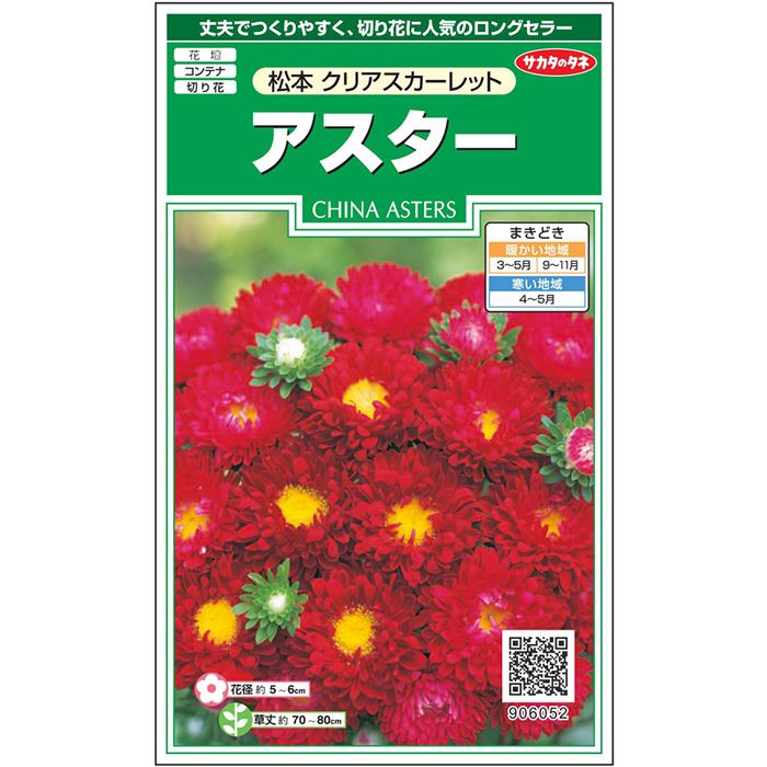 【サカタのタネ公式】 アスター 松本 クリアスカーレット 花 種 約186粒 小袋 春まき 秋まき夏 秋 レッド 鉢植え 地植え 切り花育てやすいガーデニング 園芸種子 タネ たね