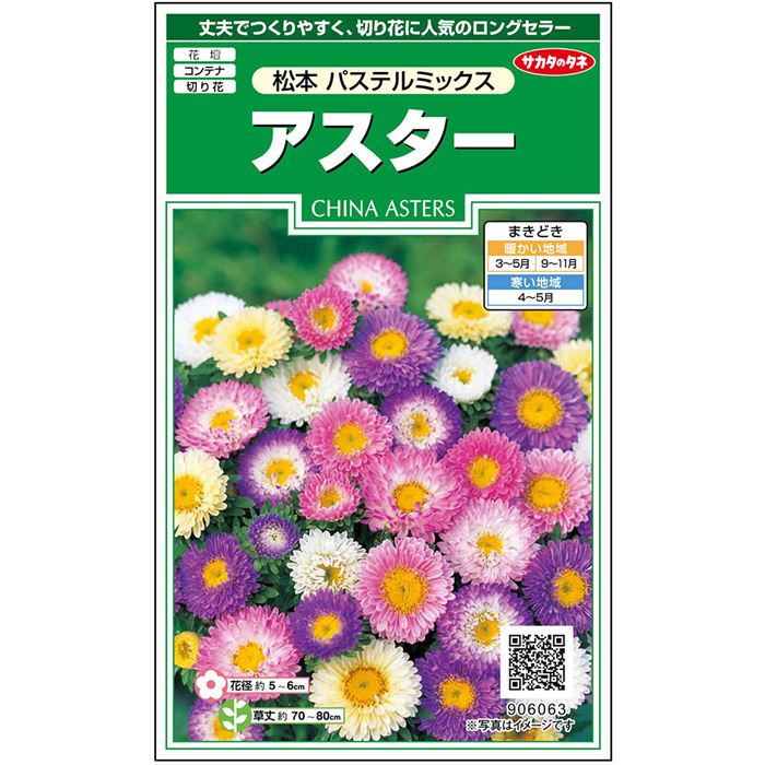 【サカタのタネ公式】 アスター 種 小袋 約180粒 マルチカラー 松本 パステル ミックス 花 春まき 秋まき 夏 秋 鉢植え 地植え 切り花 プランター 鉢 仏花 ベランダ栽培 ガーデニング 園芸 菊 キク 種子 タネ たね