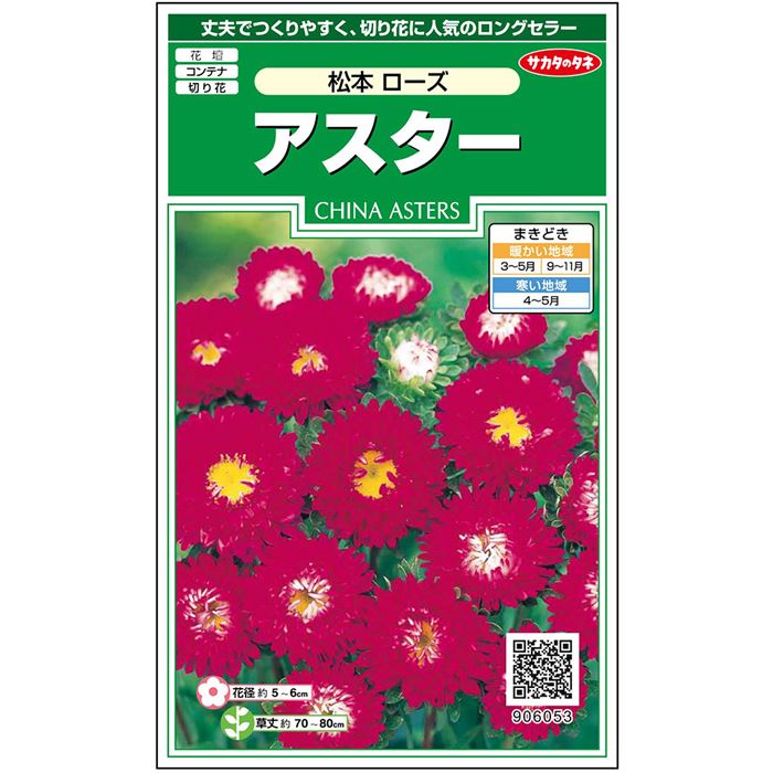 【サカタのタネ公式】 アスター 松本 ローズ 花 種 約186粒 小袋 春まき 秋まき夏 秋 ピンク 鉢植え 地植え 切り花育てやすいガーデニング 園芸種子 タネ たね