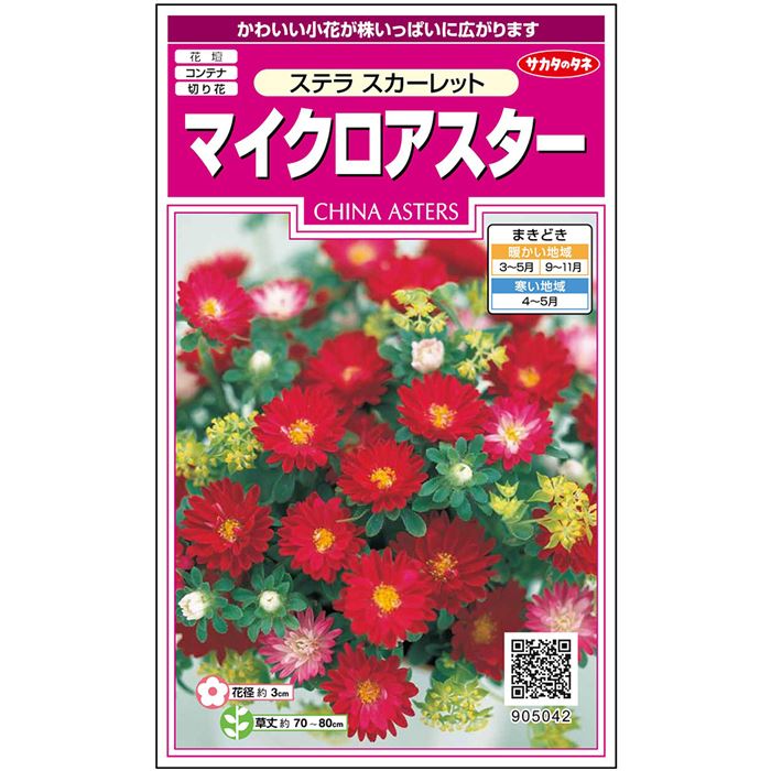 【サカタのタネ公式】 アスター 種 小袋 約70粒 レッド ステラ スカーレット 花 春まき 秋まき 夏 秋 鉢植え 地植え 切り花 プランター 鉢 仏花 ベランダ栽培 ガーデニング 園芸 菊 キク 種子 タネ たね