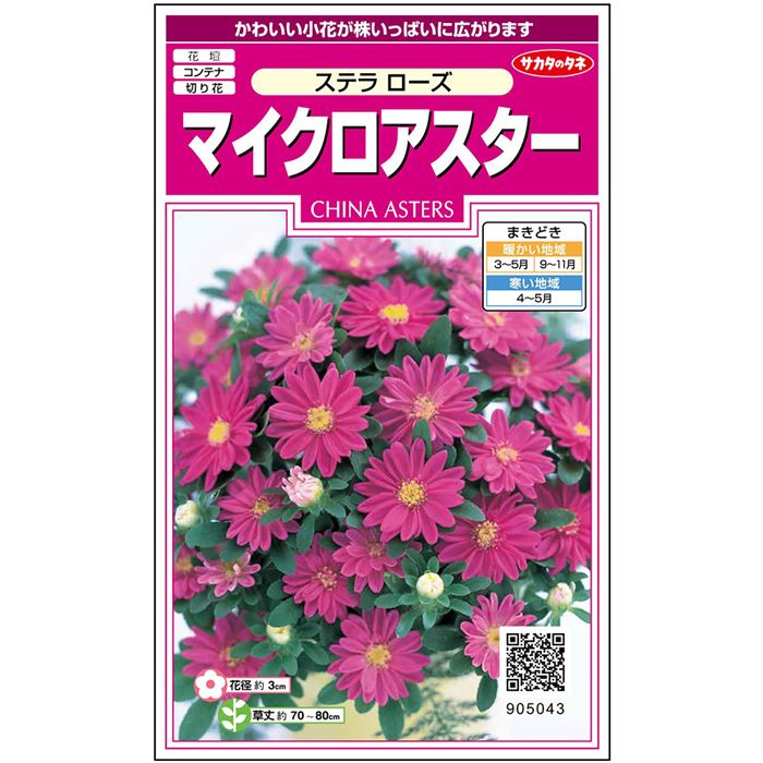 【サカタのタネ公式】 アスター ステラ ローズ 花 種 約72粒 小袋 春まき 秋まき夏 秋 ピンク 鉢植え 地植え 切り花育てやすいガーデニング 園芸種子 タネ たね