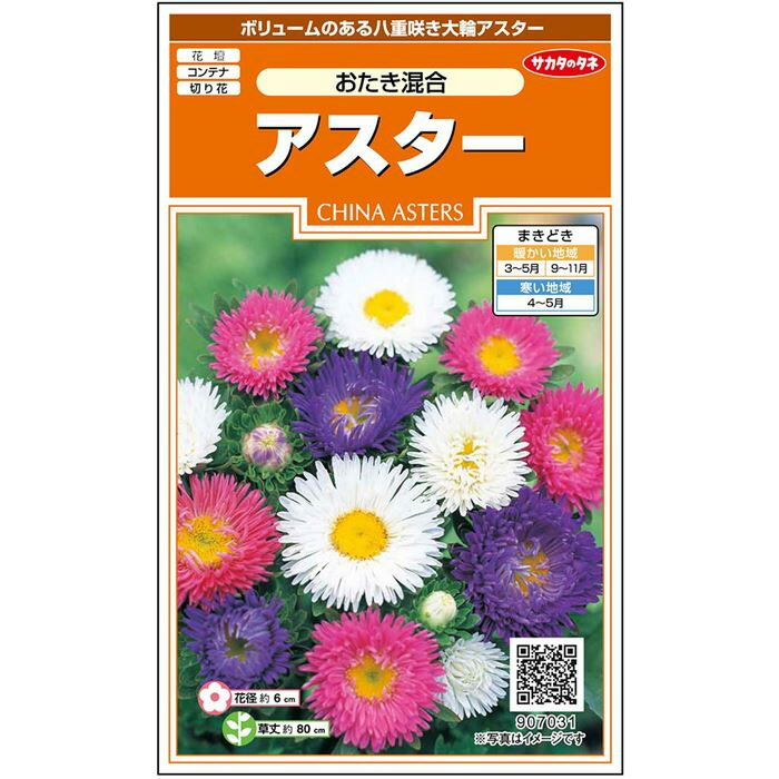 【サカタのタネ公式】 アスター おたき混合 花 種 約72粒 小袋 春まき 秋まき夏 秋 マルチカラー 鉢植え 地植え 切り花育てやすいガーデニング 園芸種子 タネ たね