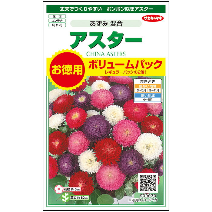 【サカタのタネ公式】 アスター あずみ 混合 花 種 約258粒 小袋 春まき 秋まき夏 秋 マルチカラー 鉢植え 地植え 切り花ガーデニング 園芸種子 タネ たね