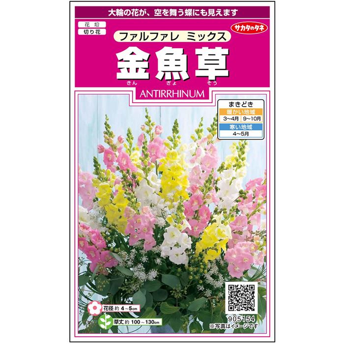 【サカタのタネ公式】 キンギョソウ ファルファレ ミックス 花 種 約86粒 小袋 春まき 秋まき 春 夏マルチカラー 鉢植え 地植え 切り花育てやすいガーデニング 園芸 金魚草 きんぎょそう種子 タネ たね