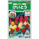  ケイトウ きもの 混合 花 種 約143粒 小袋 春まき 夏 秋 マルチカラー 鉢植え 地植え 簡単 初心者向き 育てやすい プランター 鉢ベランダ栽培ガーデニング 園芸 鶏頭 けいとう種子 タネ たね