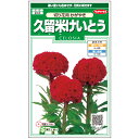 【サカタのタネ公式】 久留米けいとう かがやき 花 種 約143粒 小袋 春まき 夏 秋 レッド 鉢植え 地植え 切り花簡単 初心者向き 育てやすい プランター 鉢ベランダ栽培ガーデニング 園芸種子 タネ たね