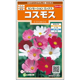 【サカタのタネ公式】 コスモス センセーション ミックス 花 種 約86粒 小袋 春まき 夏 秋 マルチカラー 鉢植え 地植え 切り花簡単 初心者向き 育てやすい プランター 鉢ベランダ栽培ガーデニング 園芸 秋桜 種子 タネ たね