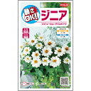 【サカタのタネ公式】 ジニア 百日草 プロフュージョン ダブル ホワイト 花 種 約10粒 小袋 春まき 夏 秋 ホワイト 鉢植え 地植え 切り花簡単 初心者向き 育てやすい プランター 鉢ベランダ栽培ガーデニング 園芸種子 タネ たね