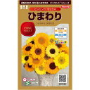 【サカタのタネ公式】 ヒマワリ ビンセント ミックス 花 種 フィルムコート種子約40粒 小袋 春まき 夏マルチカラー 鉢植え 地植え 切り花簡単 初心者向き 育てやすいガーデニング 園芸 向日葵 種子 タネ たね