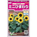 【サカタのタネ公式】 ヒマワリ ジュニア 花 種 約15粒 小袋 春まき 夏イエロー 鉢植え 地植え 簡単 初心者向き 育てやすいガーデニング 園芸 向日葵 種子 タネ たね