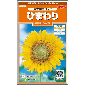 【サカタのタネ公式】 ヒマワリ 巨大輪咲 ロシア 花 種 約20粒 小袋 春まき 夏イエロー 鉢植え簡単 初心者向き 育てやすいガーデニング 園芸 向日葵 種子 タネ たね