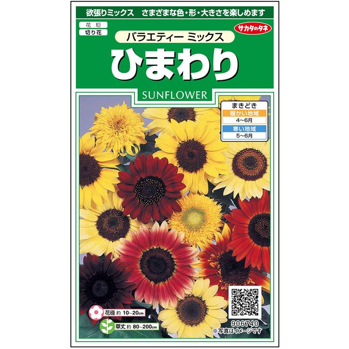 【サカタのタネ公式】 ヒマワリ バラエティー ミックス 花 種 約20粒 小袋 春まき 夏マルチカラー 鉢植え 地植え 切り花簡単 初心者向き 育てやすいガーデニング 園芸 向日葵 種子 タネ たね