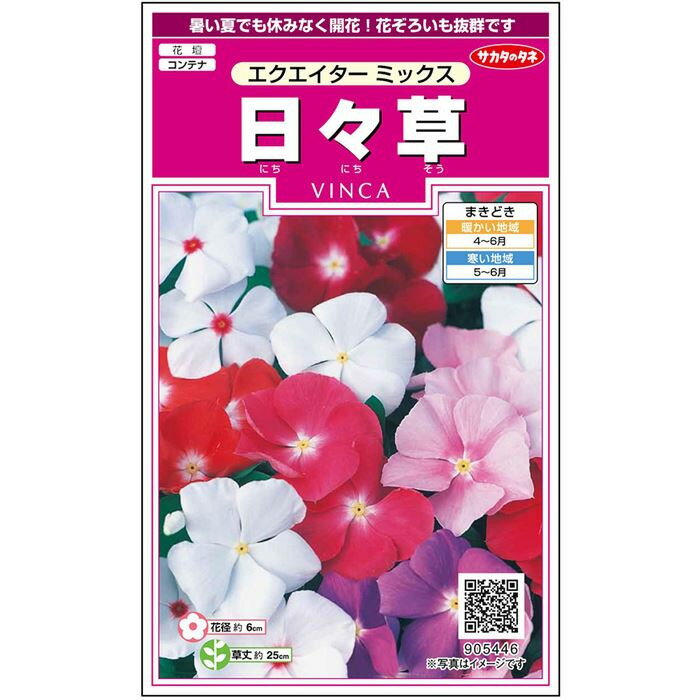 【サカタのタネ公式】 ニチニチソウ エクエイター ミックス 花 種 約58粒 小袋 春まき 夏 秋 マルチカラー 鉢植え 地植え 育てやすいガーデニング 園芸 日々草 にちにちそう ビンカ 種子 タネ たね