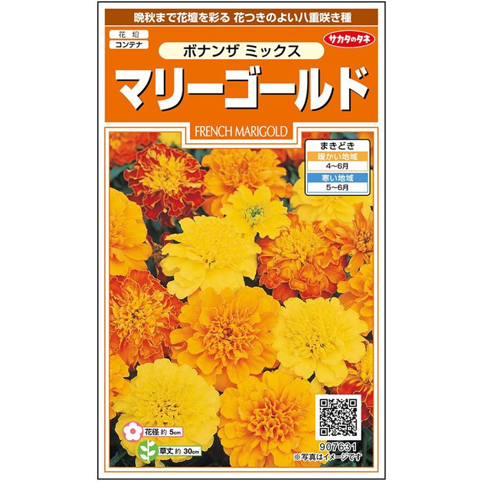 【サカタのタネ公式】 マリーゴールド ボナンザ ミックス 花 種 約43粒 小袋 春まき 夏 秋 マルチカラー 鉢植え 地植え 簡単 初心者向き 育てやすい プランター 鉢ベランダ栽培ガーデニング 園芸種子 タネ たね