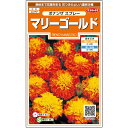 【サカタのタネ公式】 マリーゴールド ボナンザ スプレー 花 種 約43粒 小袋 春まき 夏 秋 バイカラー 鉢植え 地植え 簡単 初心者向き 育てやすい プランター 鉢ベランダ栽培ガーデニング 園芸種子 タネ たね