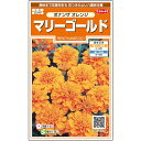  マリーゴールド ボナンザ オレンジ 花 種 約43粒 小袋 春まき 夏 秋 オレンジ 鉢植え 地植え 簡単 初心者向き 育てやすい プランター 鉢ベランダ栽培ガーデニング 園芸種子 タネ たね