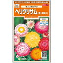 【サカタのタネ公式】 ヘリクリサム 帝王貝細工 モンストローサ 花 種 約215粒 小袋 春まき 秋まき夏 秋 マルチカラー 鉢植え 地植え 切り花 ドライフラワー 簡単 初心者向き 育てやすい プランター 鉢ベランダ栽培ガーデニング 園芸種子 タネ たね