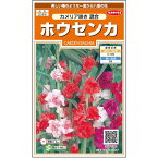 【サカタのタネ公式】 ホウセンカ カメリア咲き 混合 花 種 約63粒 小袋 春まき 夏 秋 マルチカラー 鉢植え 地植え 簡単 初心者向き 育てやすい プランター 鉢ベランダ栽培ガーデニング 園芸 鳳仙花 ほうせんか種子 タネ たね