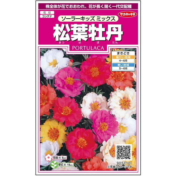 規格 約145粒 袋 おすすめ　株全体が花で覆われ花が長く開く一代交配種 草丈約15cm、株張り約25cmのコンパクトな株全体が花径約5cmのかわいらしい八重咲きの花で覆われています。従来種よりも早咲きで、日中開花している時間が長く、鮮やかな色彩が魅力の一代交配種です。 【注意事項】 商品詳細 趣味・愛好家向け作型図 園芸分類 スベリヒユ科 一年草 花径 約5cm 発芽地域 25℃前後 開花・観賞時期 7〜10月 種まき・植え付け時期 4〜6月 草丈 約15cm