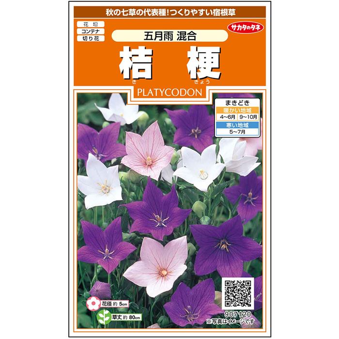 【サカタのタネ公式】 キキョウ 五月雨 混合 花 種 約16