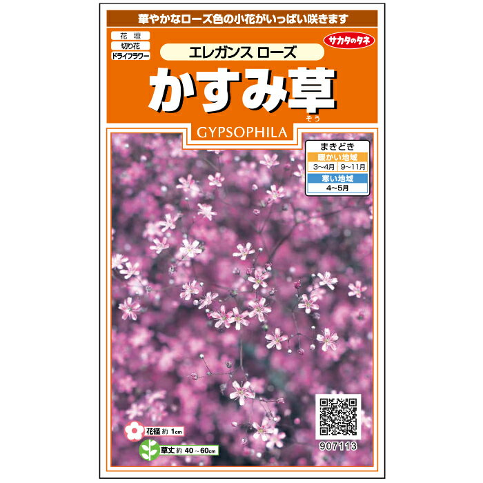 【サカタのタネ公式】 かすみ草 種 小袋 約360粒 ピンク エレガンス ローズ 花 春まき 秋まき 春 夏 鉢植え 地植え 切り花 ドライフラワー プランター 鉢 一年草 ベランダ栽培 ガーデニング 園芸 ジプソフィラ 種子 タネ たね