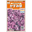 【サカタのタネ公式】 ジプソフィラ かすみ草 エレガンス ローズ 花 種 約364粒 小袋 春まき 秋まき 春 夏ピンク 鉢植え 地植え 切り花 ドライフラワープランター 鉢ベランダ栽培ガーデニング 園芸種子 タネ たね