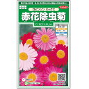  赤花除虫菊ロビンソン ミックス 花 種 約124粒 小袋 春まき 秋まき 春 夏マルチカラー 鉢植え 地植え 切り花 プランター 鉢ベランダ栽培ガーデニング 園芸種子 タネ たね