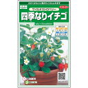 【サカタのタネ公式】 四季なりイチゴ ワイルドストロベリー 花 種 約143粒 小袋 春まき 秋まき 春秋 マルチカラー 鉢植え 地植え 簡単 初心者向き 育てやすい プランター 鉢ベランダ栽培ガーデニング 園芸いちご イチゴ 種子 タネ たね