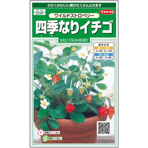 【サカタのタネ公式】 四季なりイチゴ ワイルドストロベリー マルチカラー 花 春まき 秋まき 春 秋 鉢植え 地植え 簡単 初心者向き 育てやすい プランター 鉢 ベランダ栽培 ガーデニング 園芸 種子 タネ たね 種 約143粒