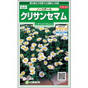  クリサンセマム ノースポール 花 種 約115粒 小袋 春まき 秋まき 春 ホワイト 鉢植え 地植え 切り花簡単 初心者向き 育てやすい プランター 鉢一年草ベランダ栽培ガーデニング 園芸 パルドサム 種子 タネ たね