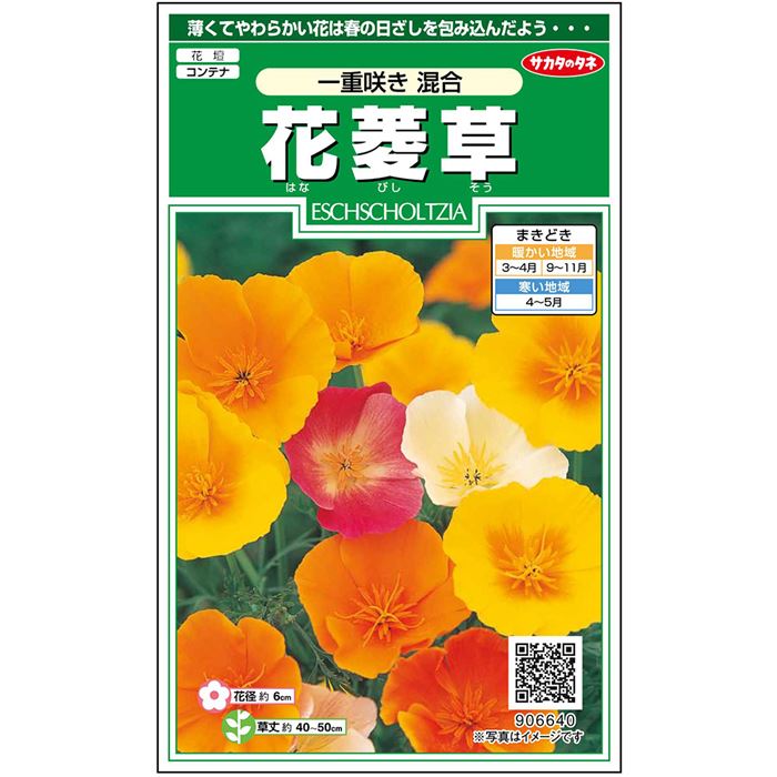 【サカタのタネ公式】 花菱草 一重