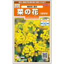 【サカタのタネ公式】 菜の花 寒咲系 混合 花 種 約118粒 小袋 春まき 秋まき 春 冬イエロー 鉢植え 地植え 切り花簡単 初心者向き 育てやすいガーデニング 園芸 菜花 なのはな種子 タネ たね