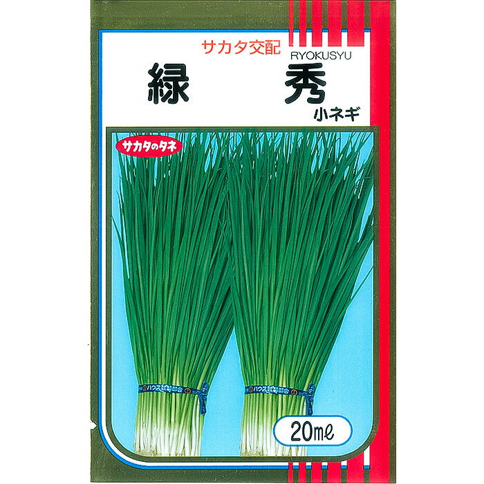 【サカタのタネ公式】 小ネギ 緑秀 野菜 種 約3000粒 大袋 春まき 秋まき サカタ交配 簡単 育てやすい 営利 栽培 収穫 園芸 葱 ねぎ 葉ねぎ 種子 タネ たね