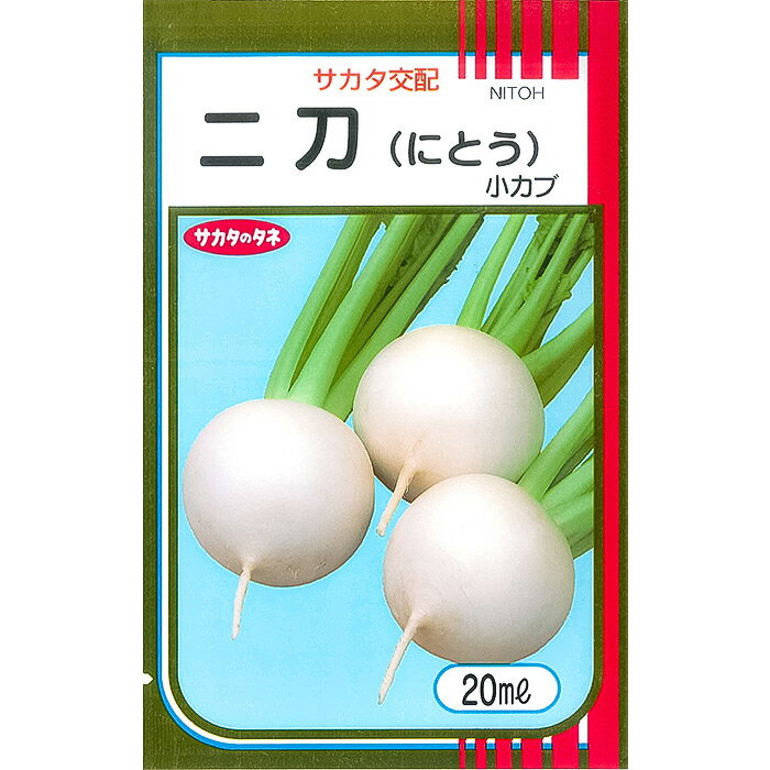 【サカタのタネ公式】 小カブ 二刀 野菜 種 3200～6000粒 大袋 春まき サカタ交配 美味しい 病気に強い 営利 栽培 収穫 園芸 大根 かぶ 種子 タネ たね