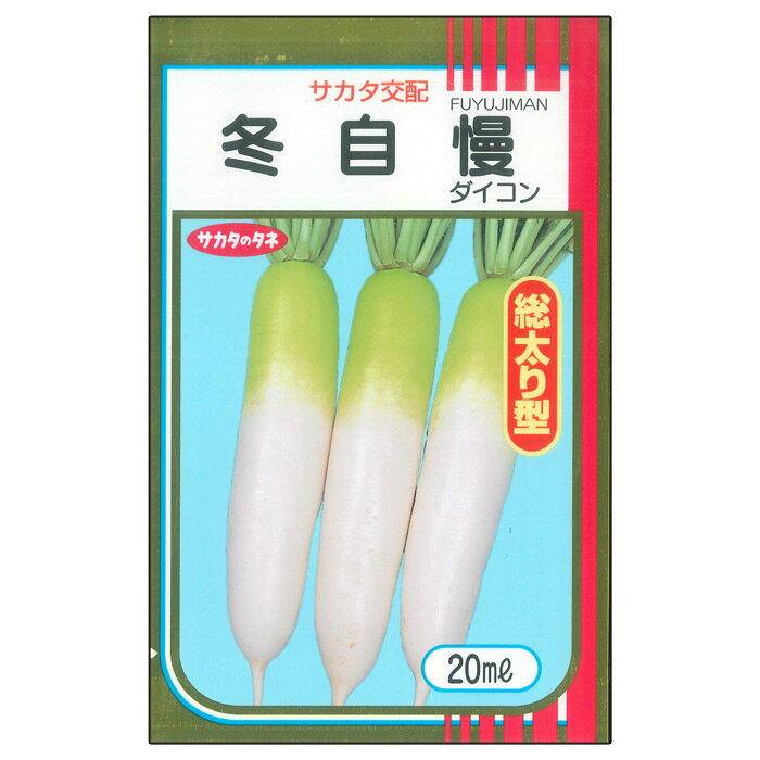 【サカタのタネ公式】 ダイコン 冬自慢 野菜 種 550〜1200粒 大袋 秋まき サカタ交配 地植え 美味しい 営利 栽培 収穫 園芸 大根 だいこん 種子 タネ たねのサムネイル
