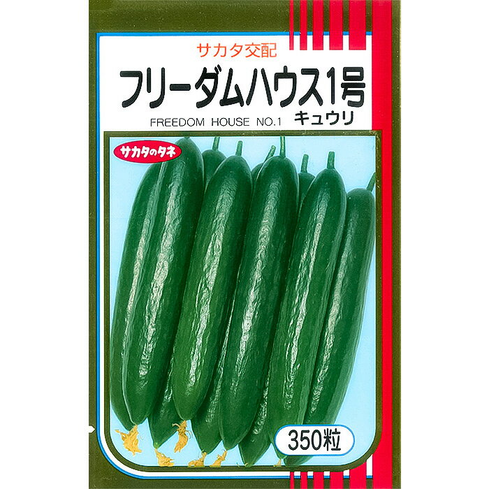 【サカタのタネ公式】 キュウリ フリーダムハウス1号 野菜 種 約350粒 大袋 春まき サカタ交配 営利 栽培 収穫 園芸 胡瓜 きゅうり 種子 タネ たね