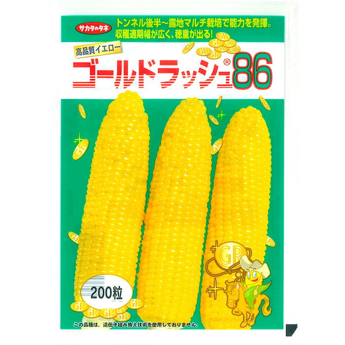  スイートコーン ゴールドラッシュ(R)86 野菜 種 約200粒 大袋 春まき サカタ交配 美味しい 営利 栽培 収穫 園芸 玉蜀黍 すいーとこーん トウモロコシ 種子 タネ たね